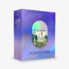 bts-2021-muster-sowoozoo-dvd