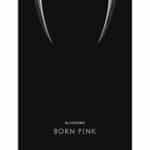 blackpink-2nd-album-born-pink-box-set-black