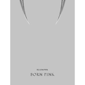 blackpink-2nd-album-born-pink-box-set-gray