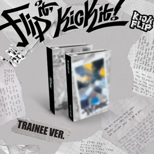 kickflip-flip-it-kick-it-trainee-ver