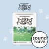 soundwave-pob-nexz-2027-seasons-greetings-meong-meong soundwave-pob-nexz-2027-seasons-greetings-meong-meong